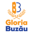 Gloria Buzau (W)